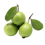 Guava ( 1 Kg ) - Sowfresh