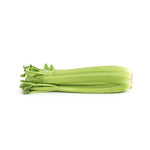 Baby Celery ( 500 gm ) - Sowfresh
