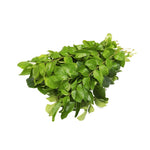 Curry Leaves ( 100 gm ) - Sowfresh