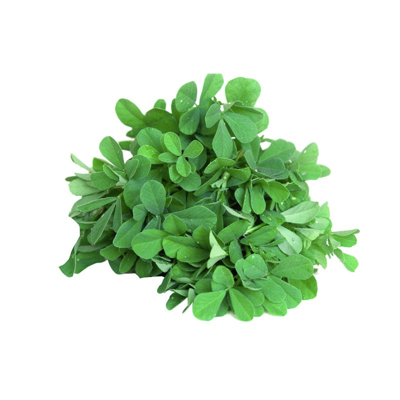 Fenugreek Leaves/ Methi ( 500 gm ) - Sowfresh