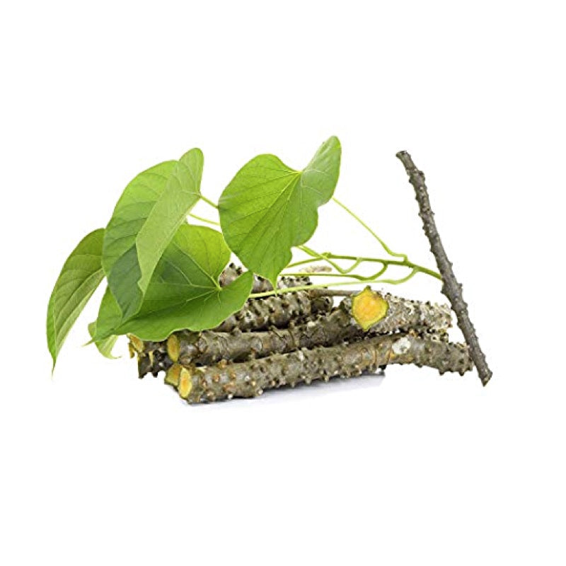 Inch Long Giloy Stems ( 10 Pcs ) - Sowfresh