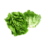 Green Lettuce Romaine ( 500 gm ) - Sowfresh