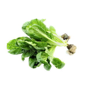 Lettuce Tatsoi ( 500 gm ) - Sowfresh