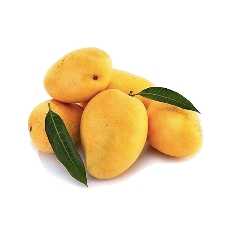 Safeda Mango ( 1 Kg ) - Sowfresh