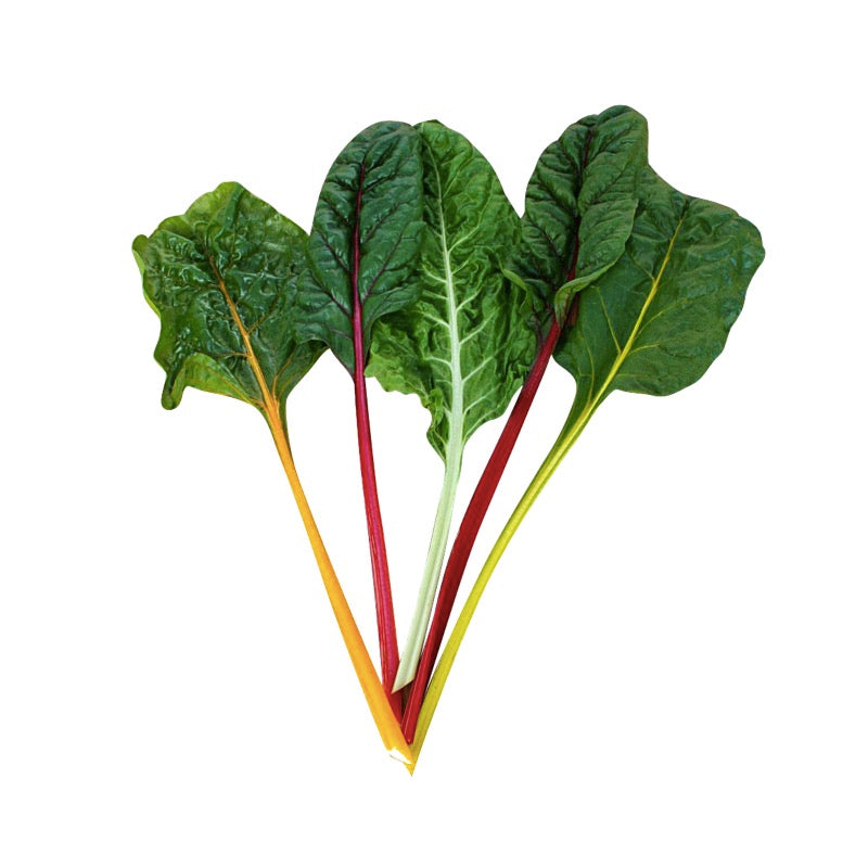Swiss Chard Yellow & Red ( 500 gm ) - Sowfresh