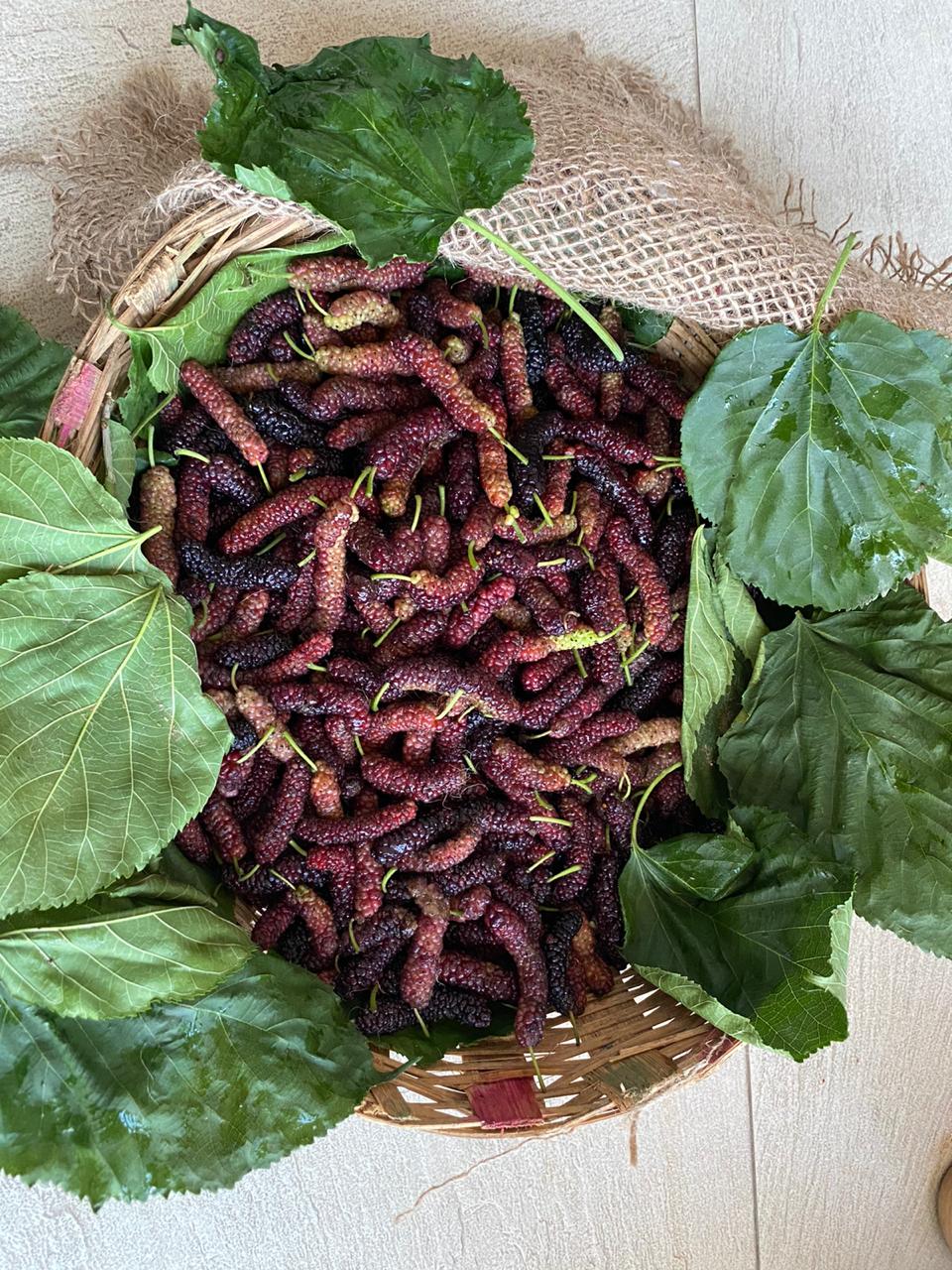 Mulberries (1Kg) - Sowfresh