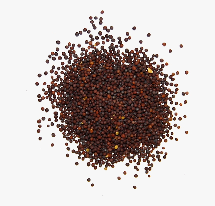 Mustard Seeds ( 100 gm) - Sowfresh