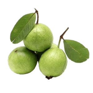 Guava ( 1 Kg ) - Sowfresh