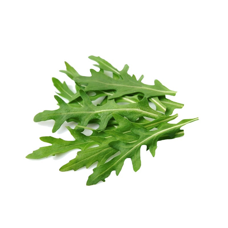 Rocket Arugula Leaves ( 250 gm ) - Sowfresh