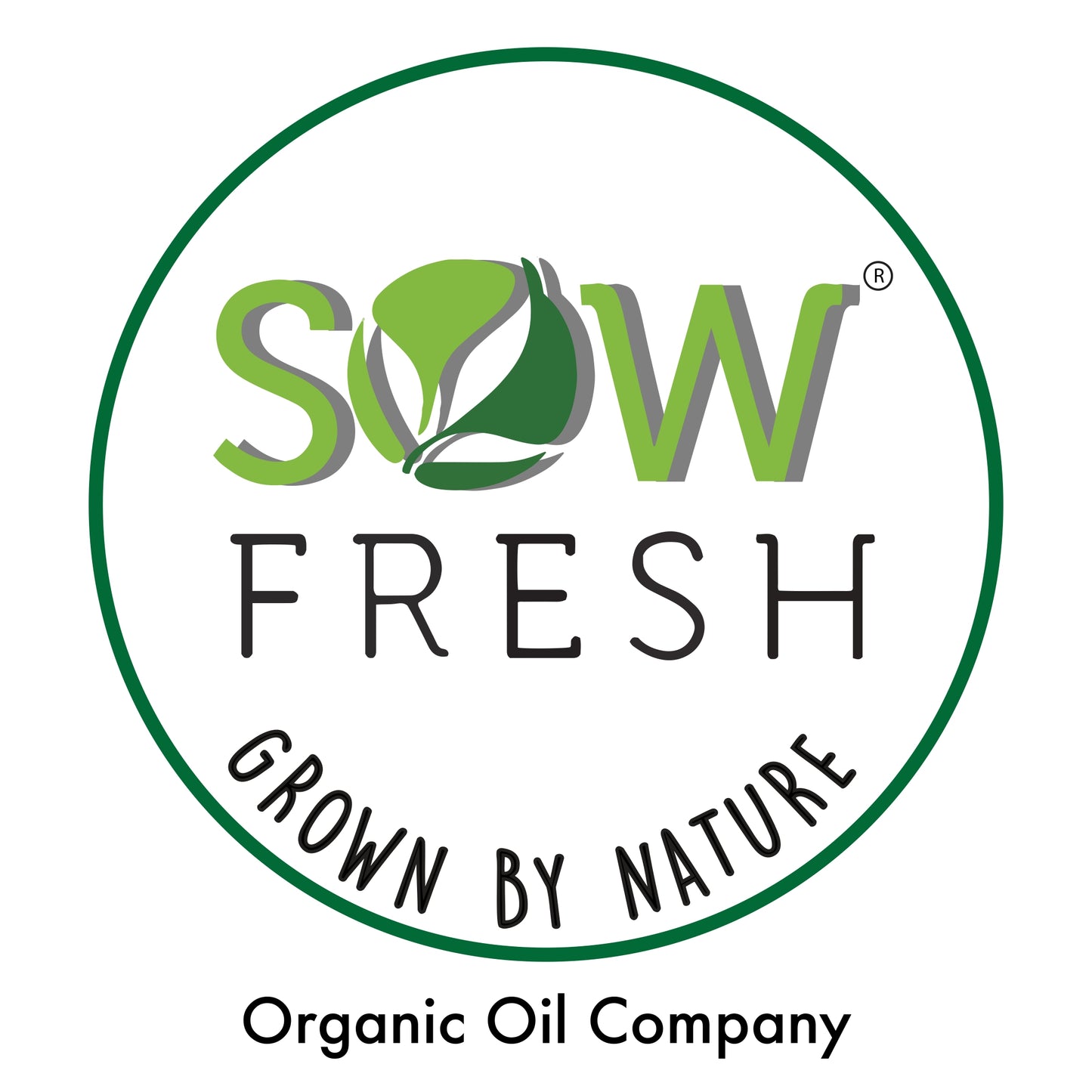 Red Round Radish ( 500 gm ) - Sowfresh